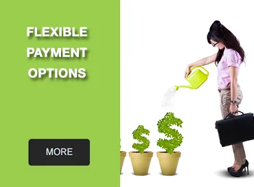 DNA Bail Bonds advertisement - Businesswoman watering dollar-shaped plants beside text ‘Flexible payment options’.
